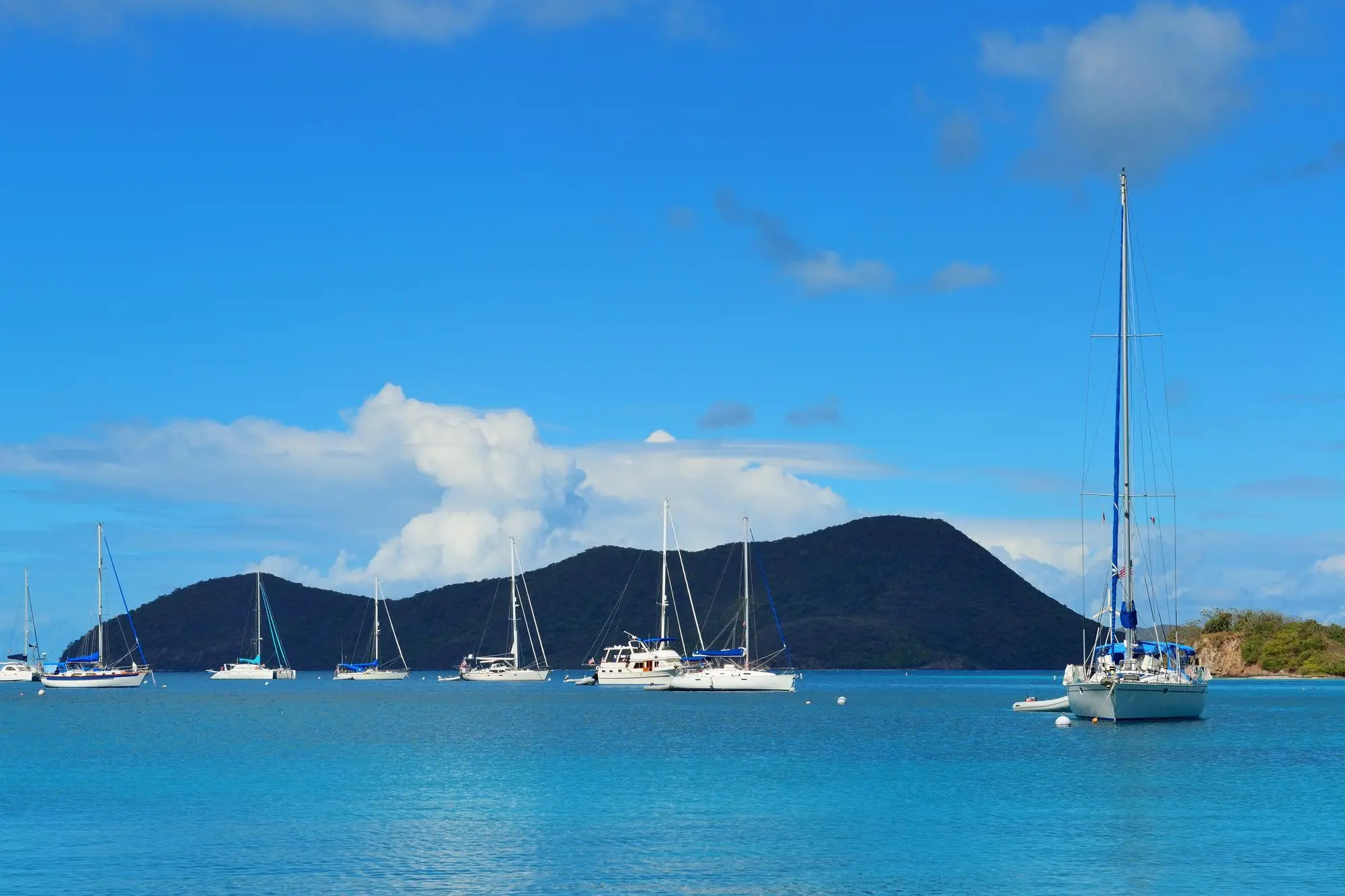 Caribbean Delivery